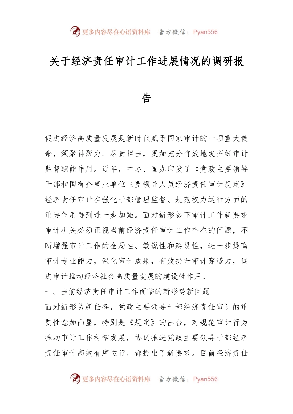 关于经济责任审计工作进展情况的调研报告.docx_第1页