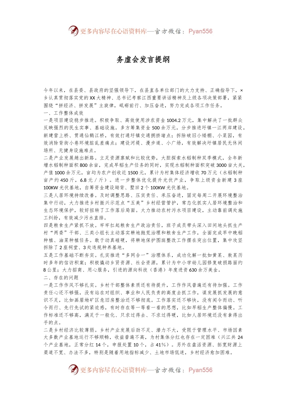 务虚会发言提纲.docx_第1页