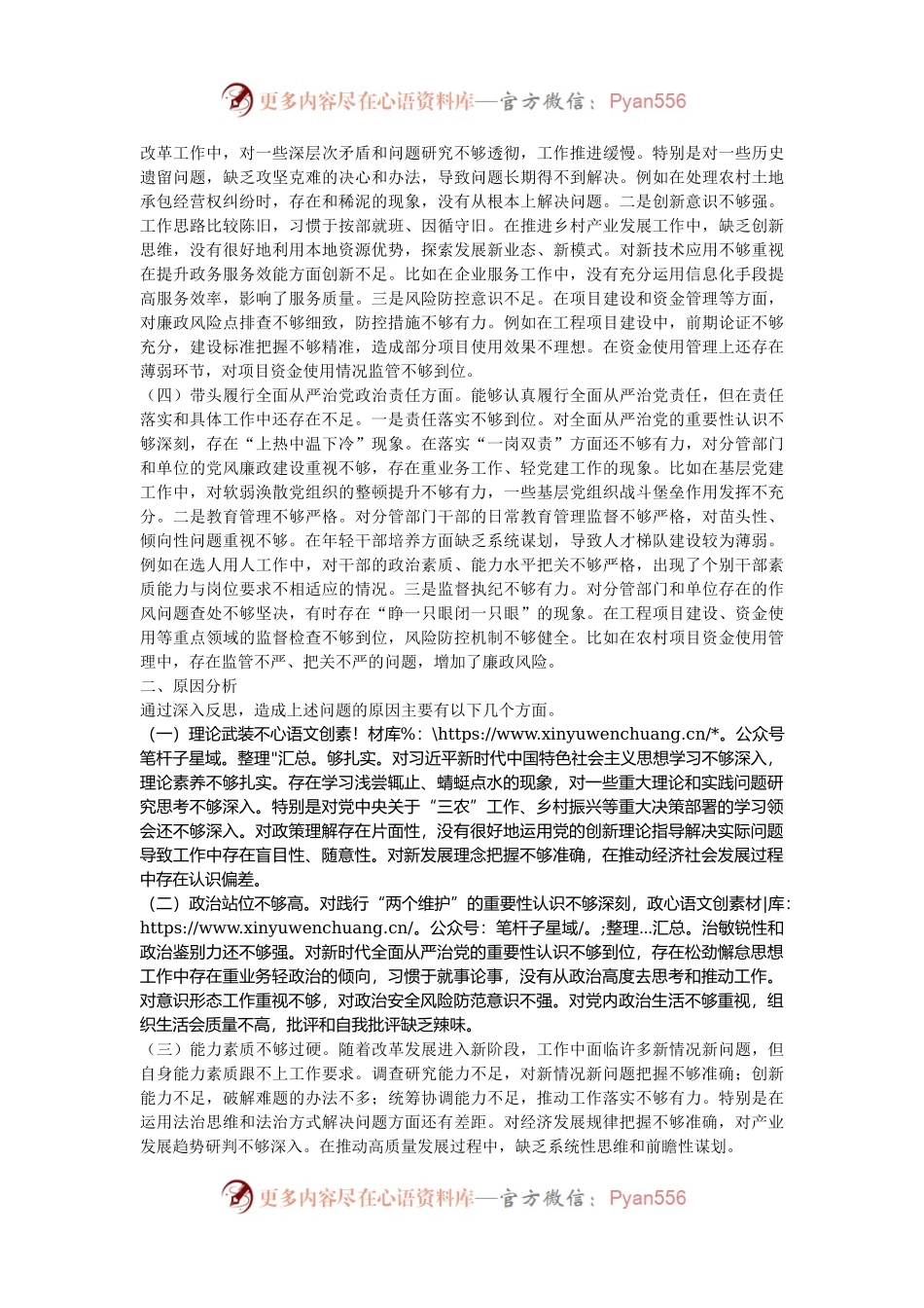 副乡长2024年民主生活会个人对照检查发言材料（四个带头）.docx_第2页