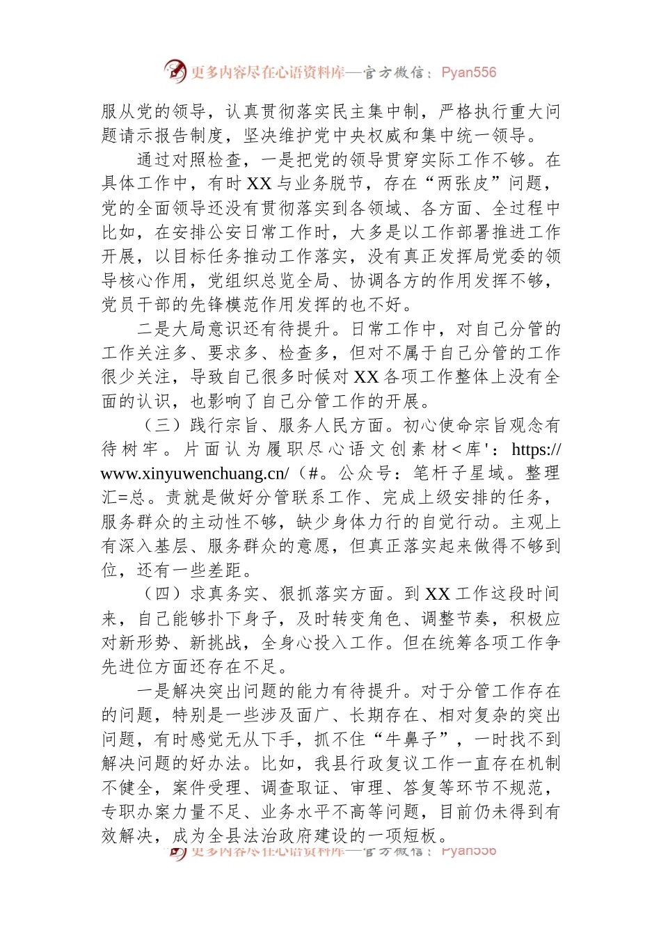副县长、公安局长在县政府党组2023年度民主生活会上的发言稿提纲.docx_第2页