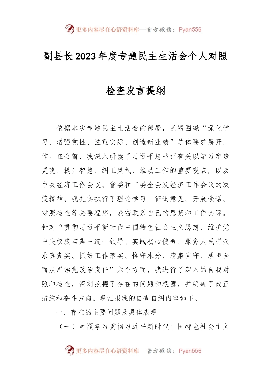 副县长2023年度专题民主生活会个人对照检查发言稿提纲.docx_第1页