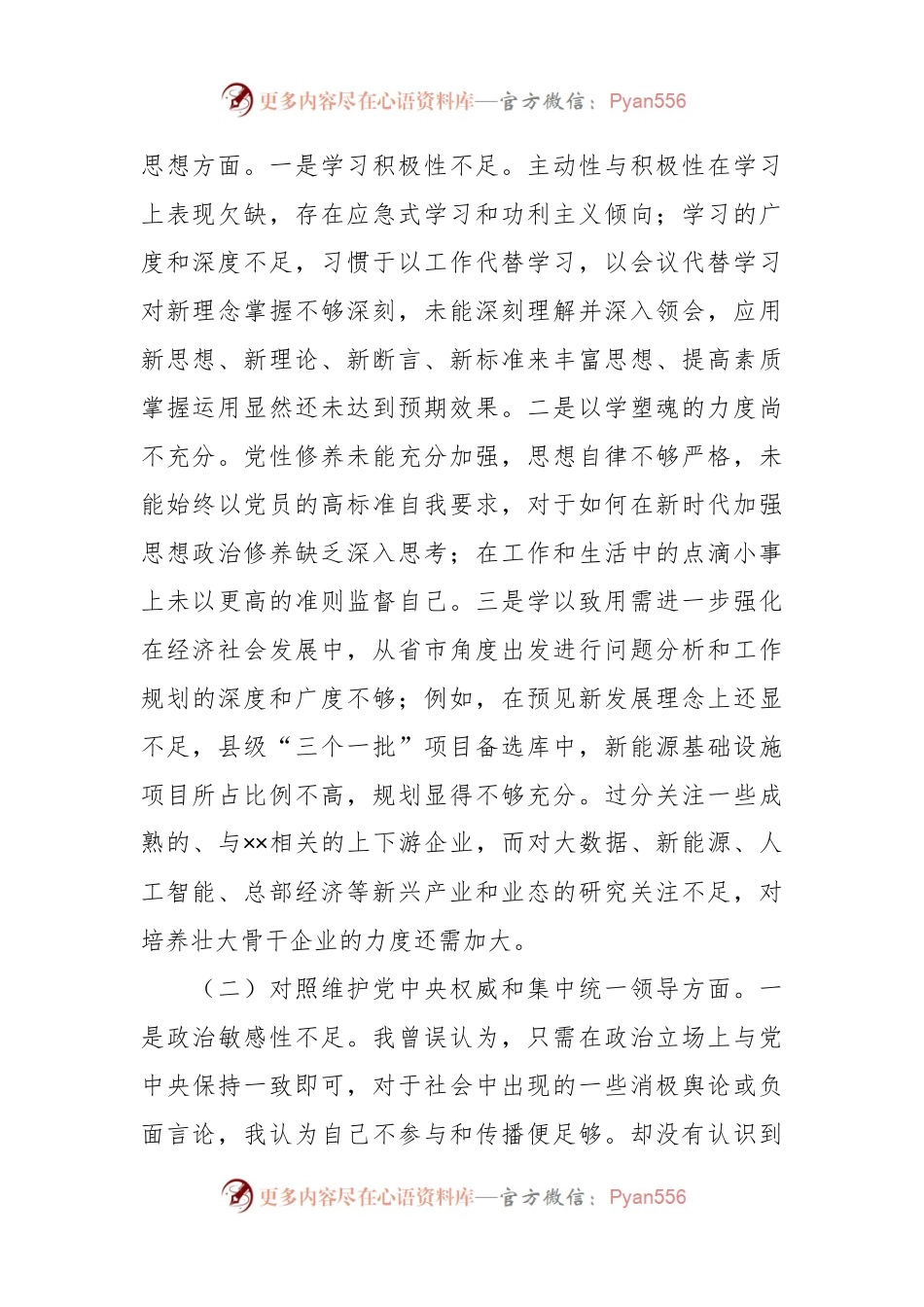 副县长2023年度专题民主生活会个人对照检查发言稿提纲.docx_第2页