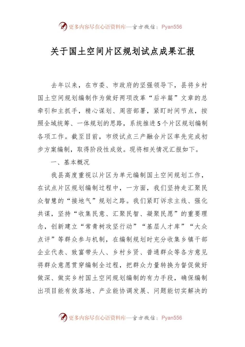 关于国土空间片区规划试点成果汇报.docx_第1页