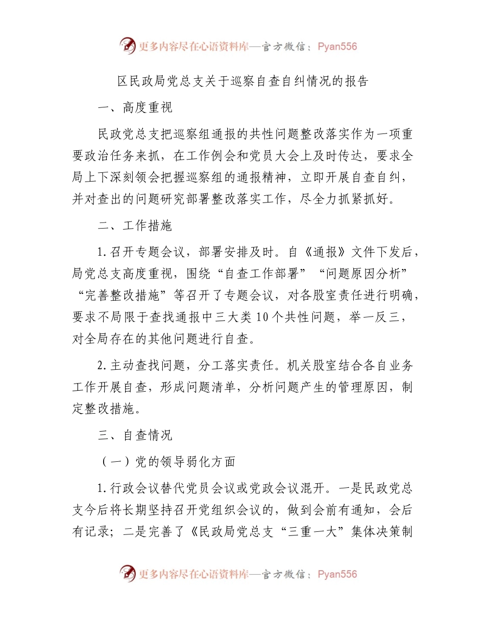 区民政系统党总支关于巡察自查自纠情况的总结报告2600字.docx_第1页