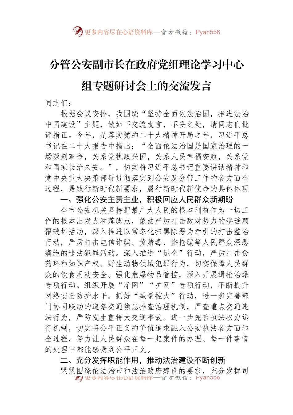分管公安副市长在政府党组理论学习中心组专题研讨会上的交流发言.docx_第1页
