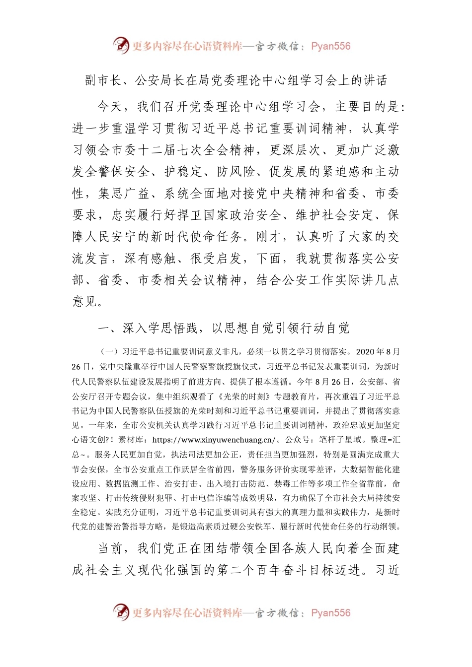 副市长、公安局长在中心组学习会上的讲话（训词精神）.docx_第1页