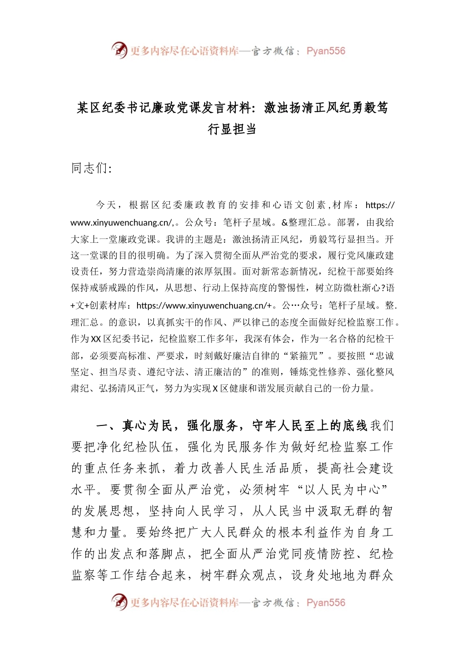 区纪委书记廉政党课发言材料：激浊扬清正风纪勇毅笃行显担当.docx_第1页