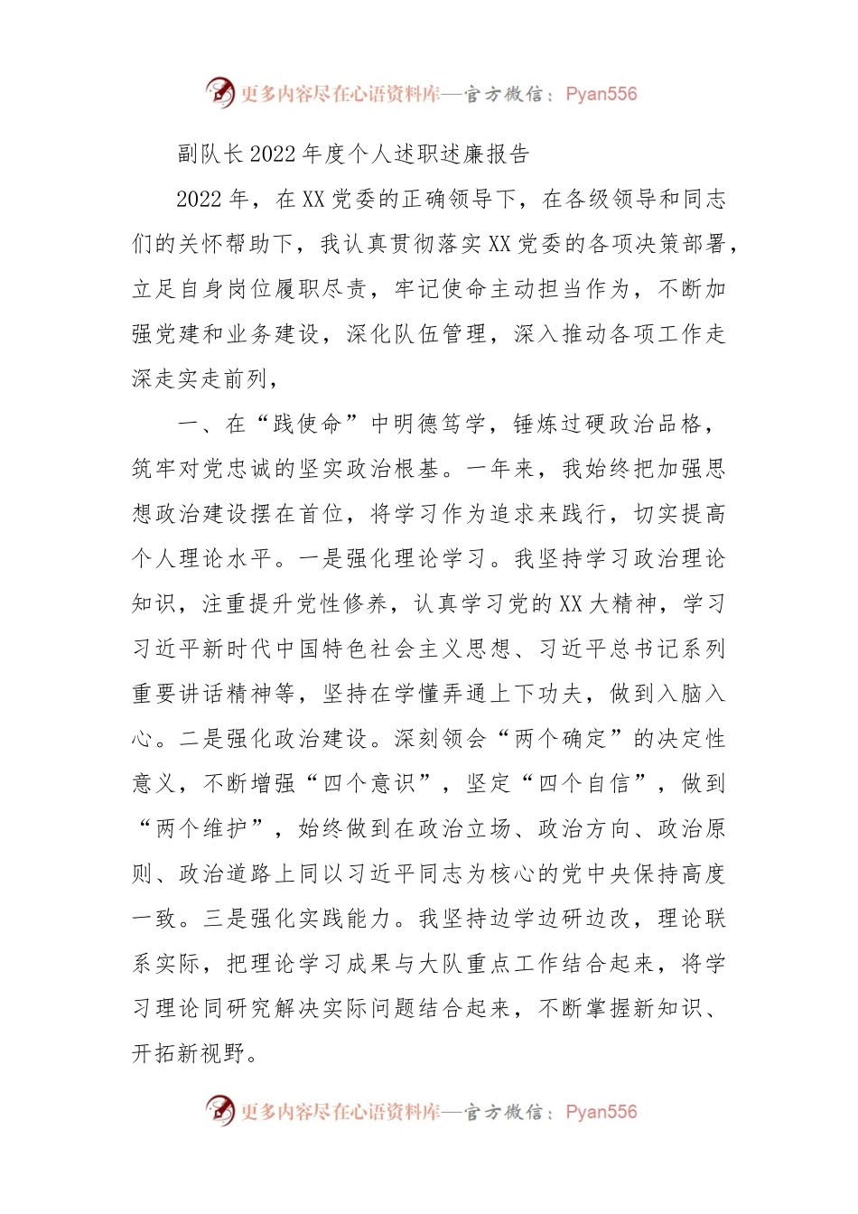副队长2022年度个人述职述廉报告.docx_第1页