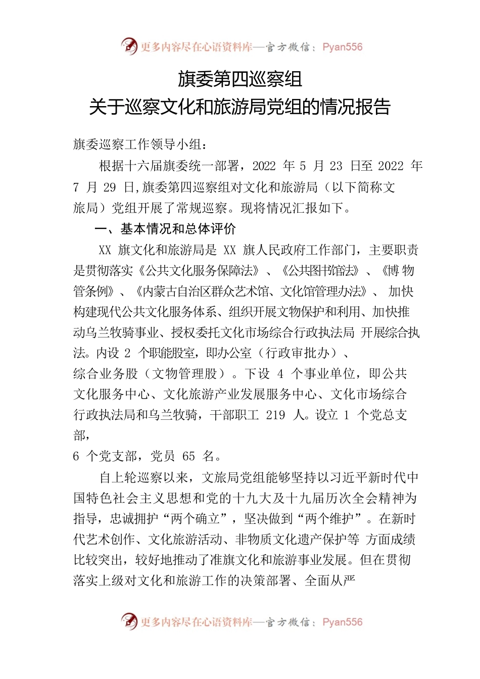 关于巡察文化和旅游局党组的情况报告（2022年）.docx_第1页