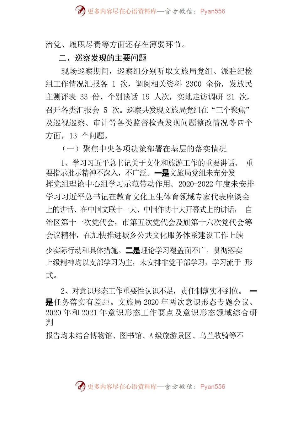关于巡察文化和旅游局党组的情况报告（2022年）.docx_第2页