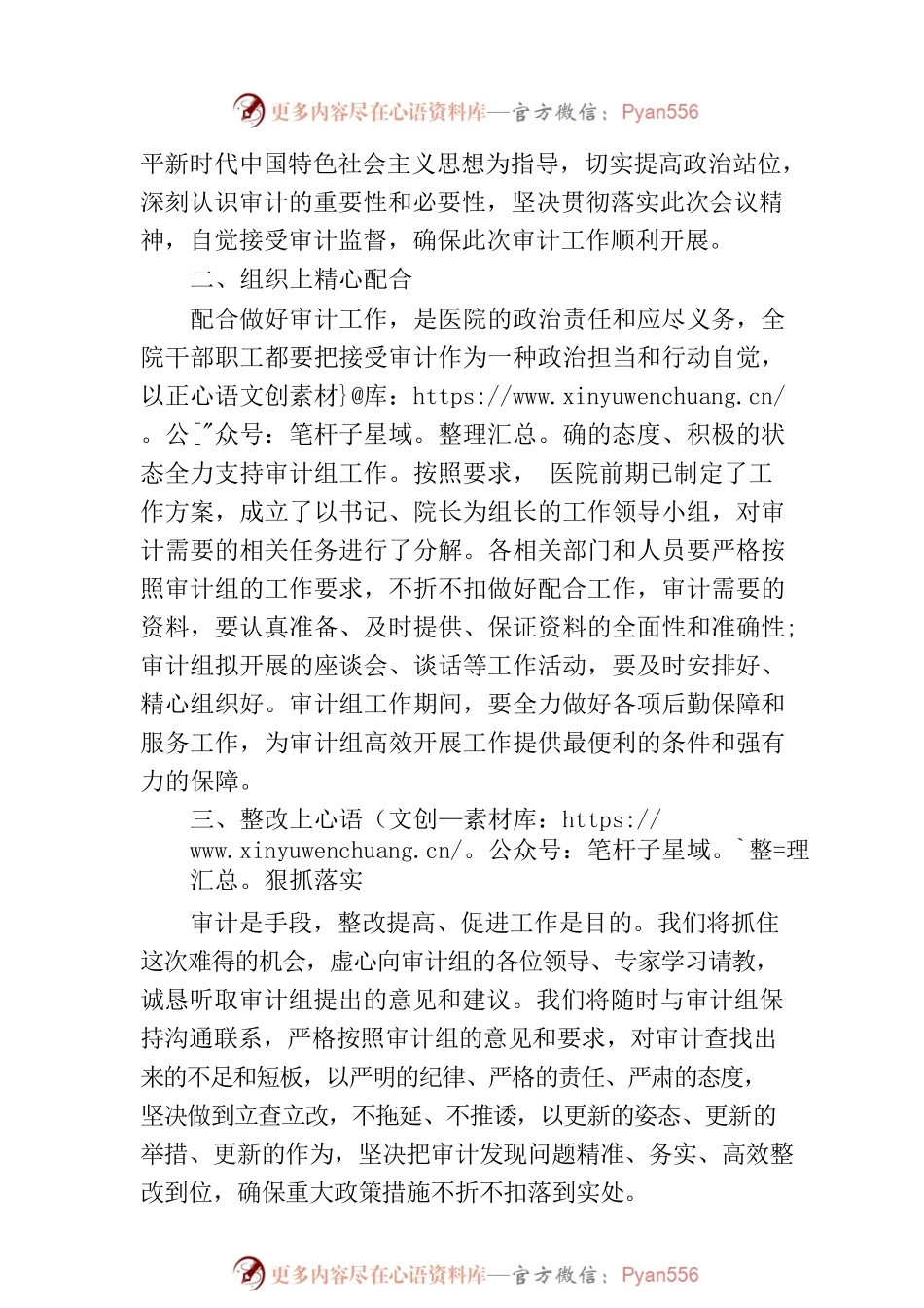 医院院长在审计见面会上的表态发言.docx_第2页