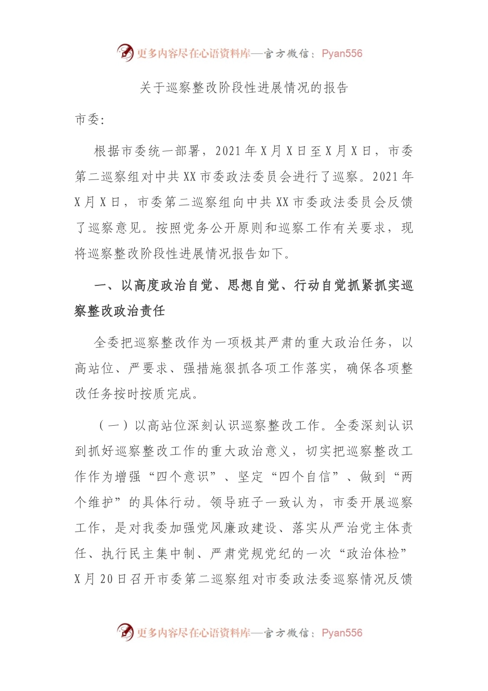 关于巡察整改阶段性进展情况的报告.docx_第1页