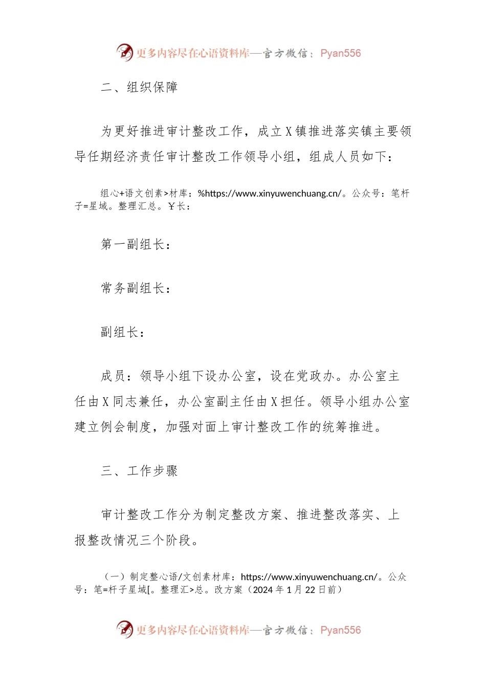 关于X镇主要领导任期经济责任审计整改落实方案的报告.docx_第2页