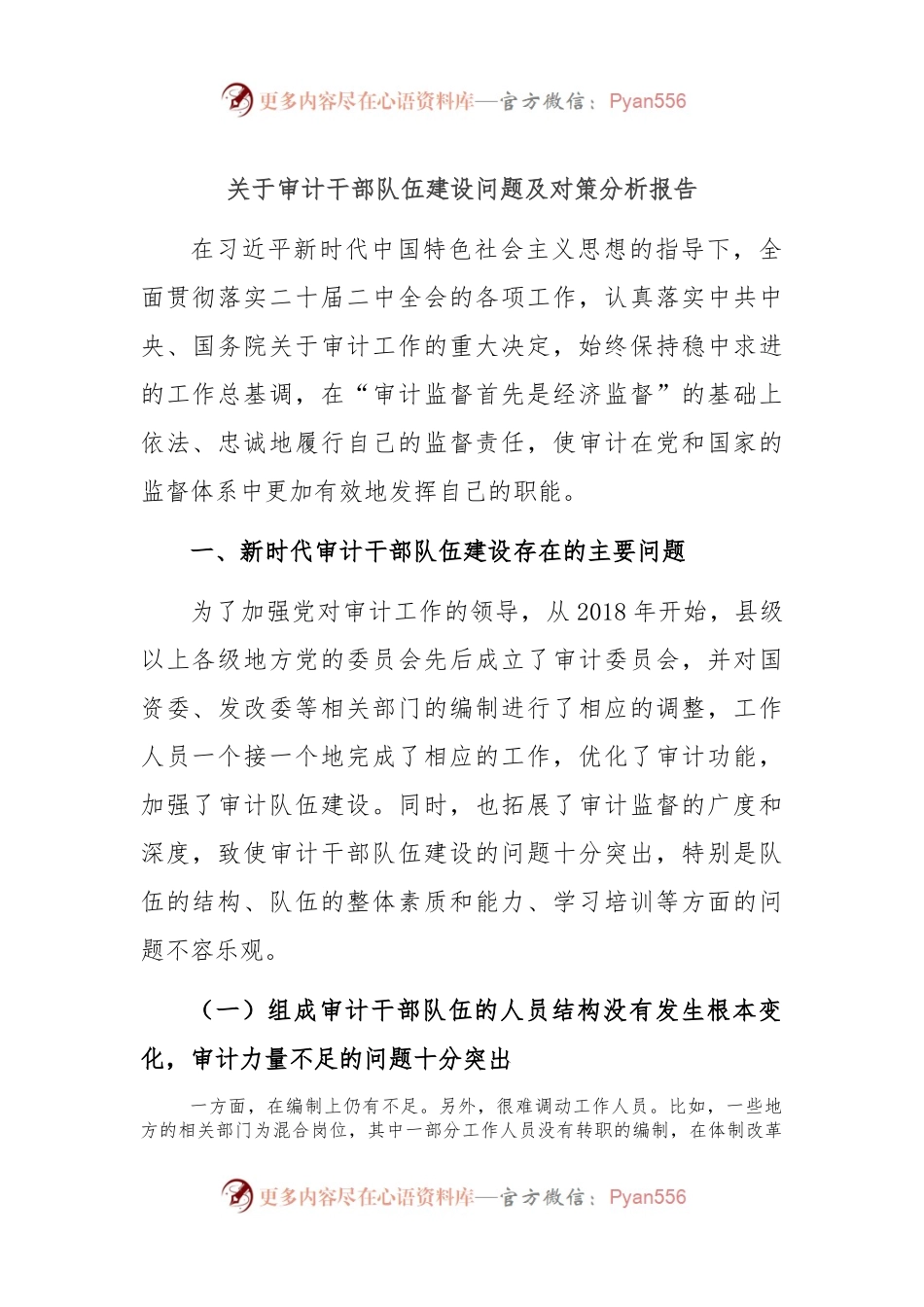 关于审计干部队伍建设问题及对策分析报告.docx_第1页