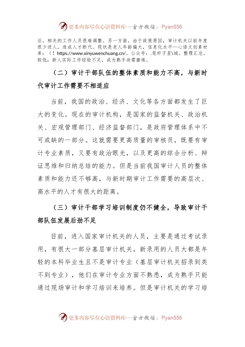 关于审计干部队伍建设问题及对策分析报告.docx_第2页