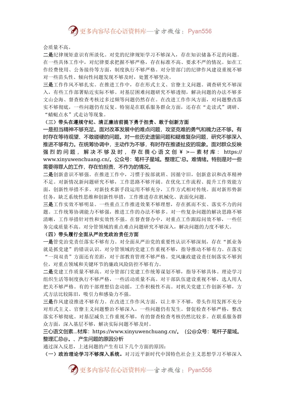 副县级领导干部 2024 年度民主生活会对照检查材料（四个带头）.docx_第2页