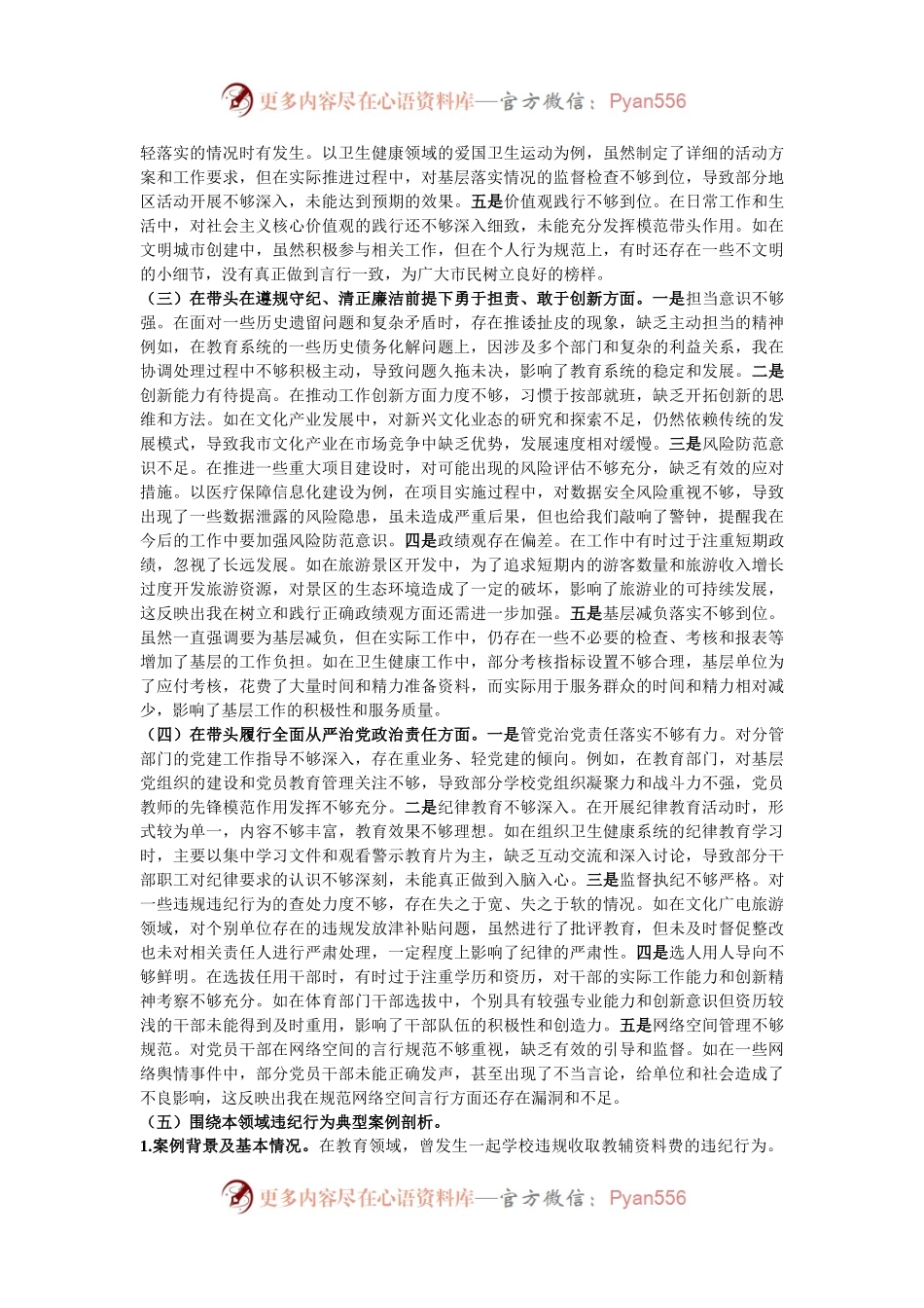 分管教科文卫副市长关于2024年度民主生活会个人对照检视材料.docx_第2页