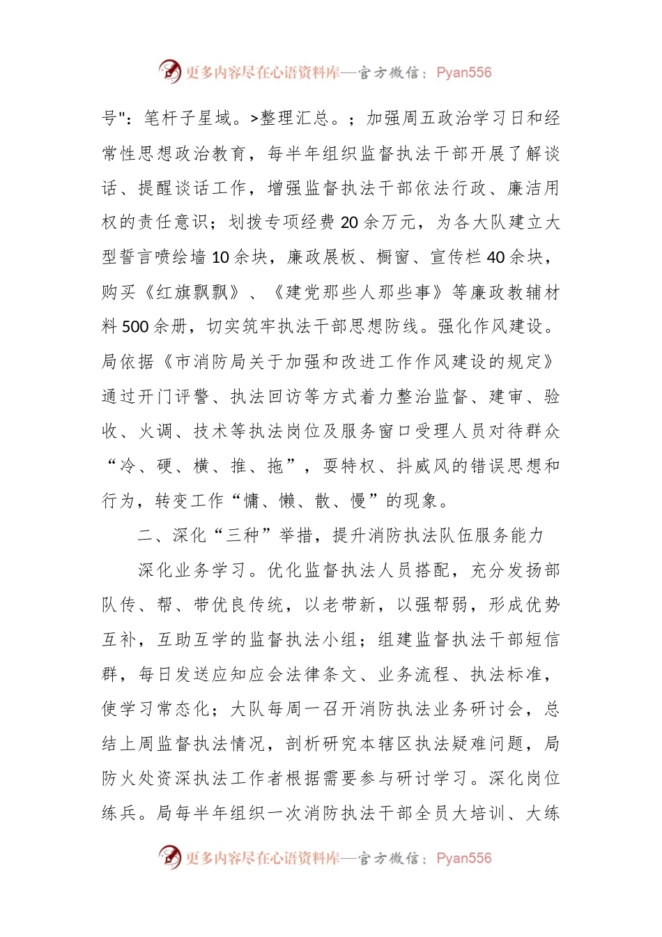关于消防廉政执法建设工作经验总结.docx_第2页