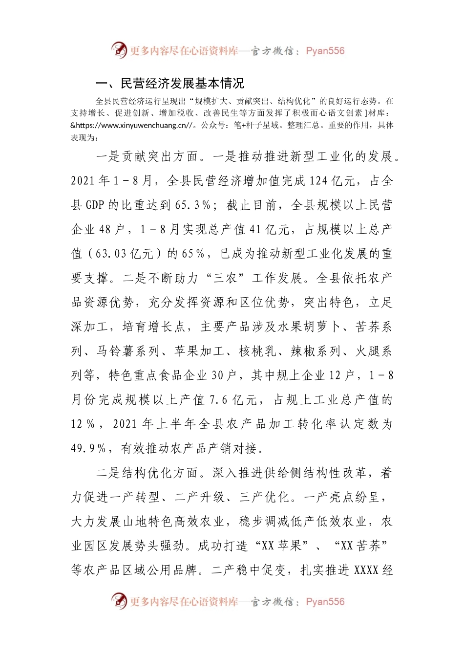 县2021年民营经济发展情况报告(002).docx_第2页
