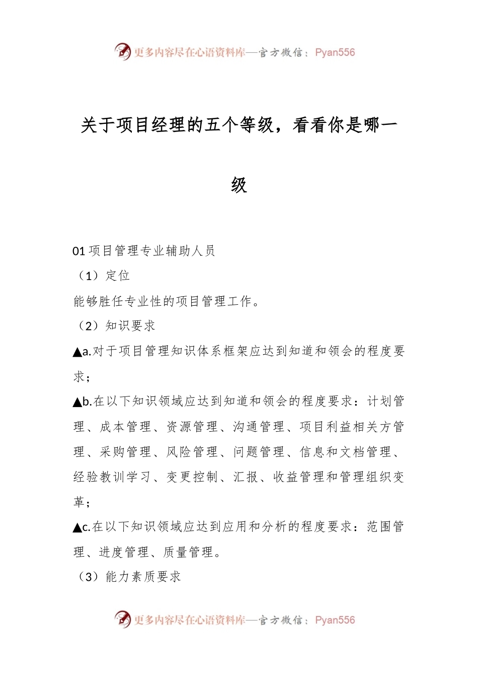 关于项目经理的五个等级，看看你是哪一级.docx_第1页