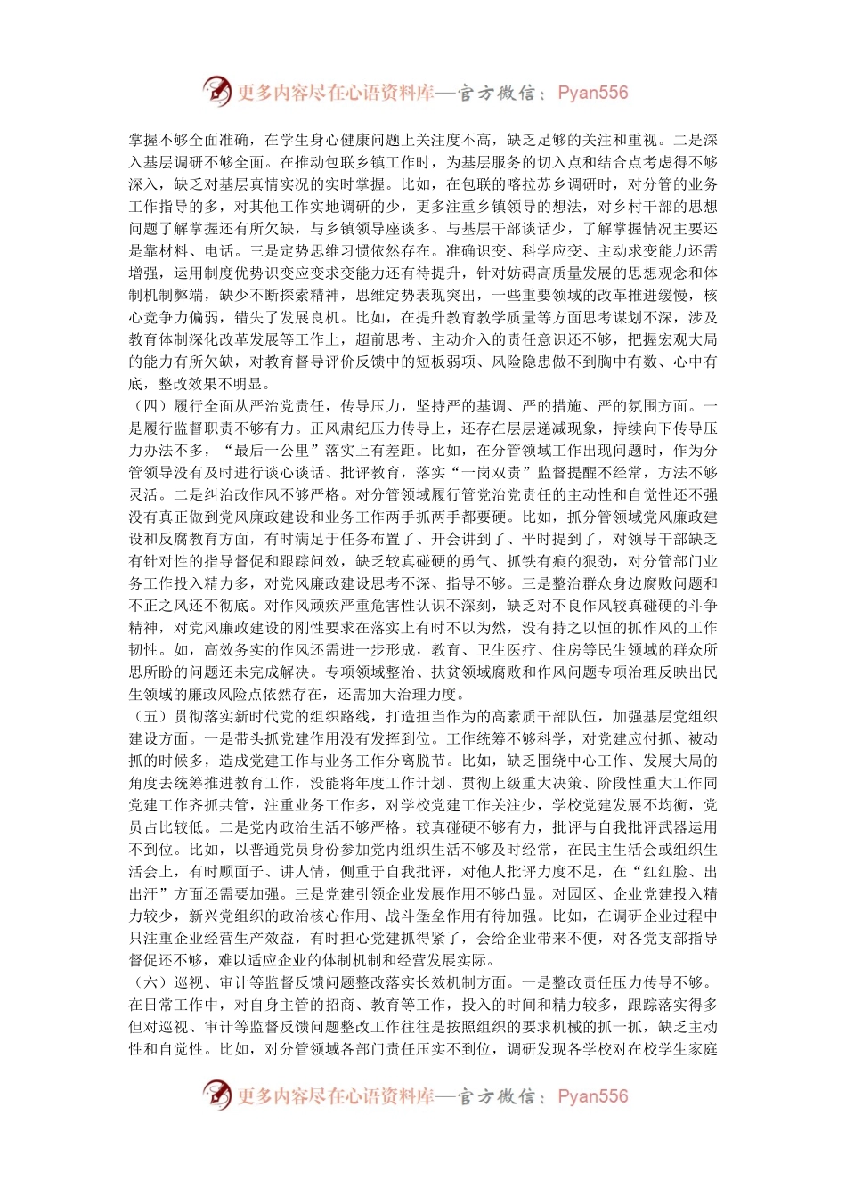 副县长巡视整改专题民主生活会个人发言提纲.docx_第2页