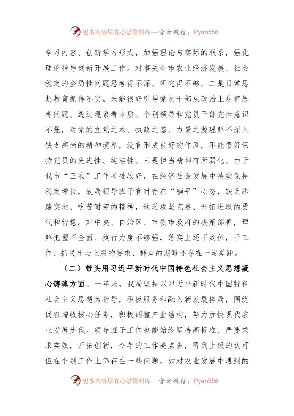 农业农村局领导班子年度民主生活会“六个带头”对照检查材料.docx_第2页