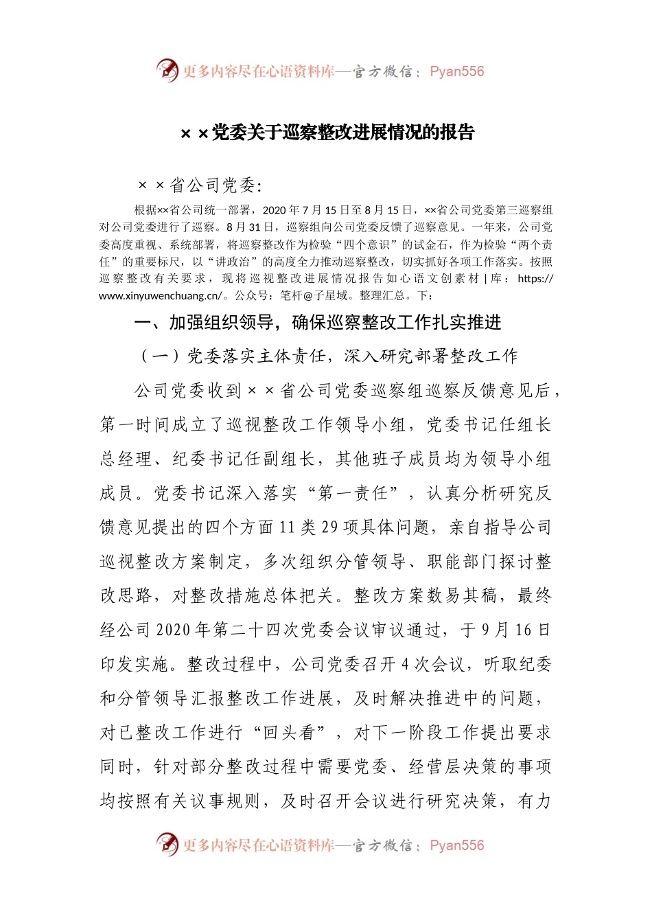 关于巡察整改进展情况的报告（一）.docx_第1页