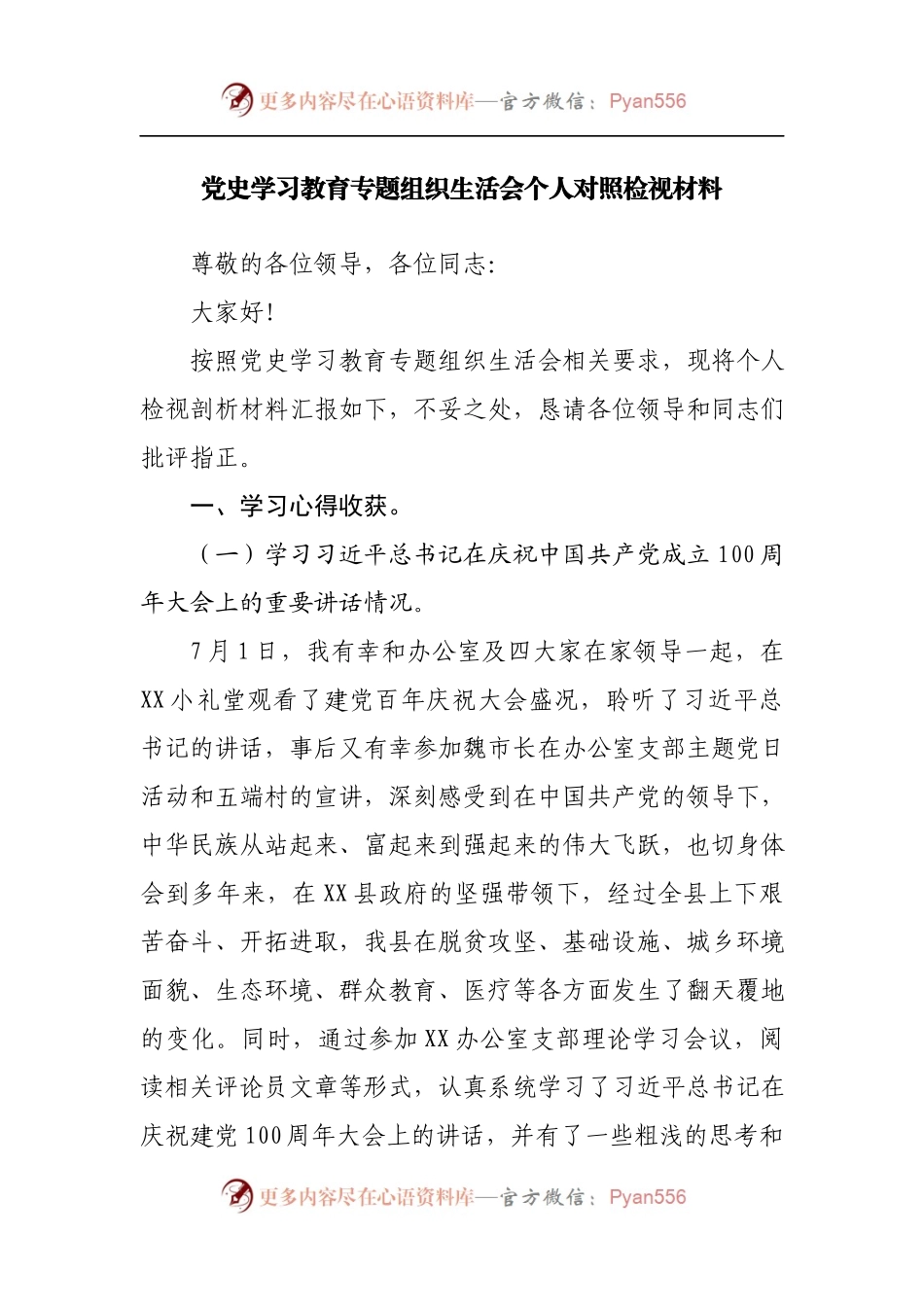 办公室大笔杆撰写的对照检视，水平确实高！.docx_第1页