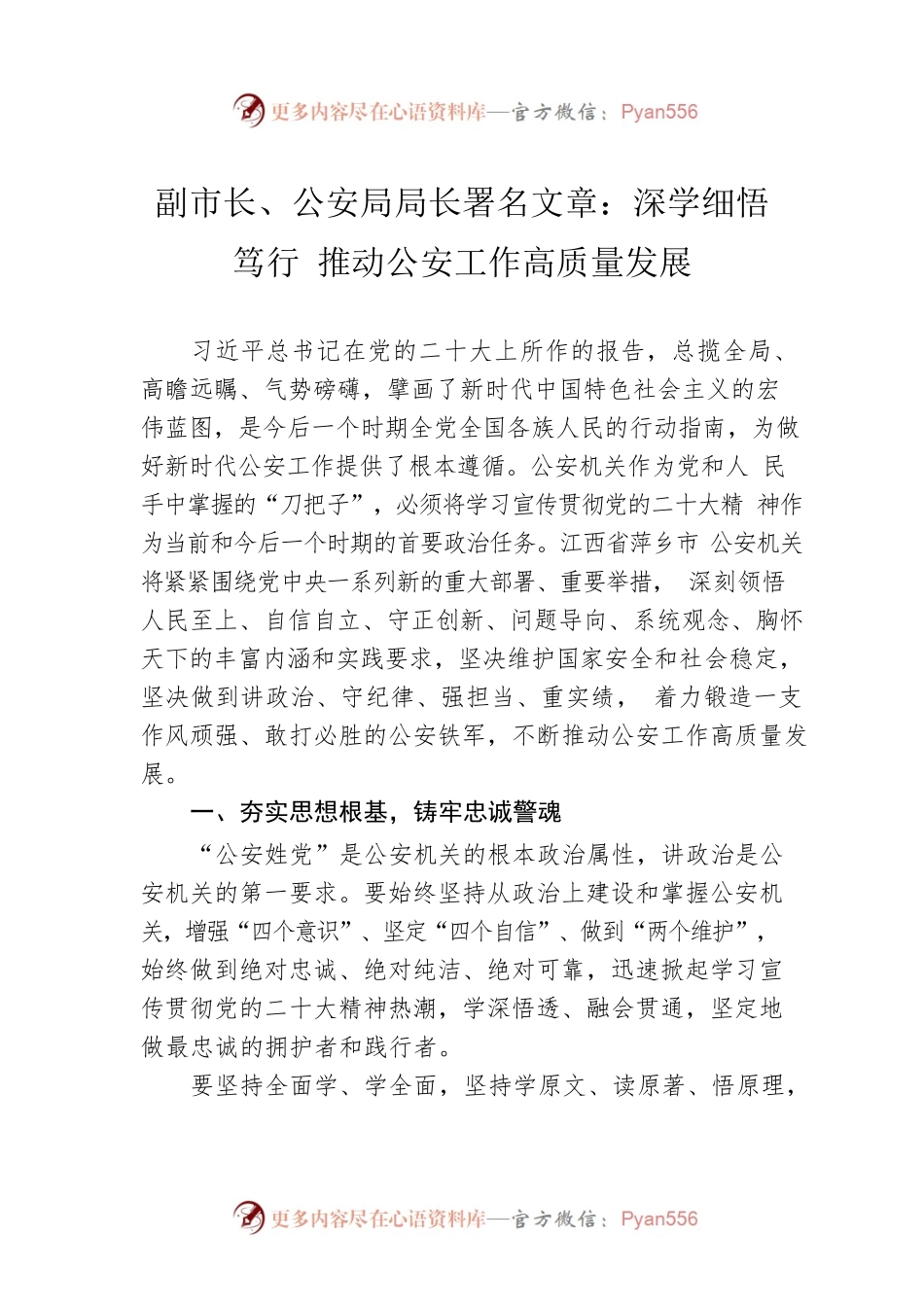 副市长、公安局局长署名文章：深学细悟笃行 推动公安工作高质量发展（20221113）.docx_第1页