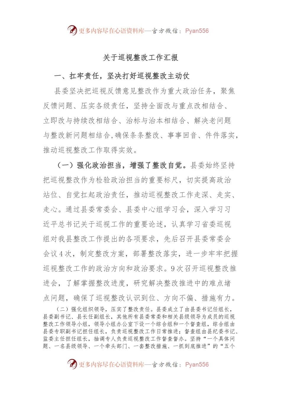关于巡视整改工作汇报.docx_第1页