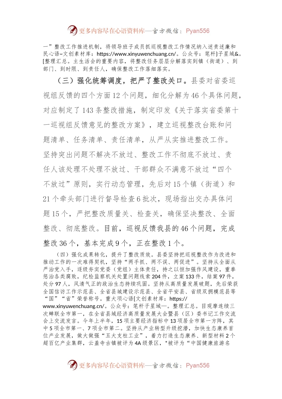 关于巡视整改工作汇报.docx_第2页