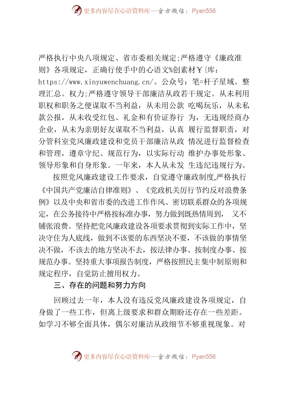 副县级述责述廉报告.docx_第2页