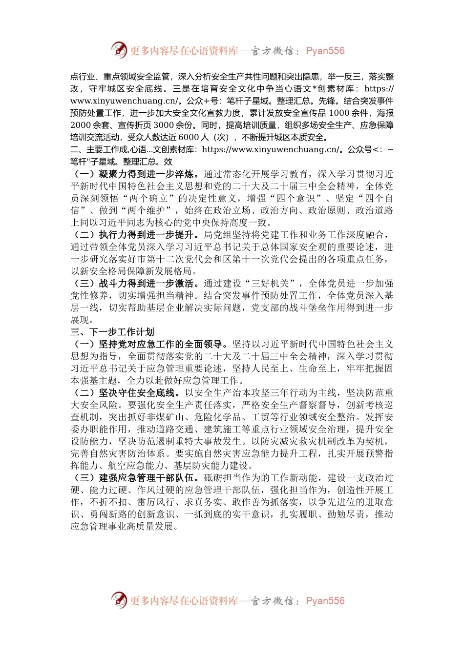 区应急管理局党组书记2024年抓基层党建工作述职报告.docx_第2页