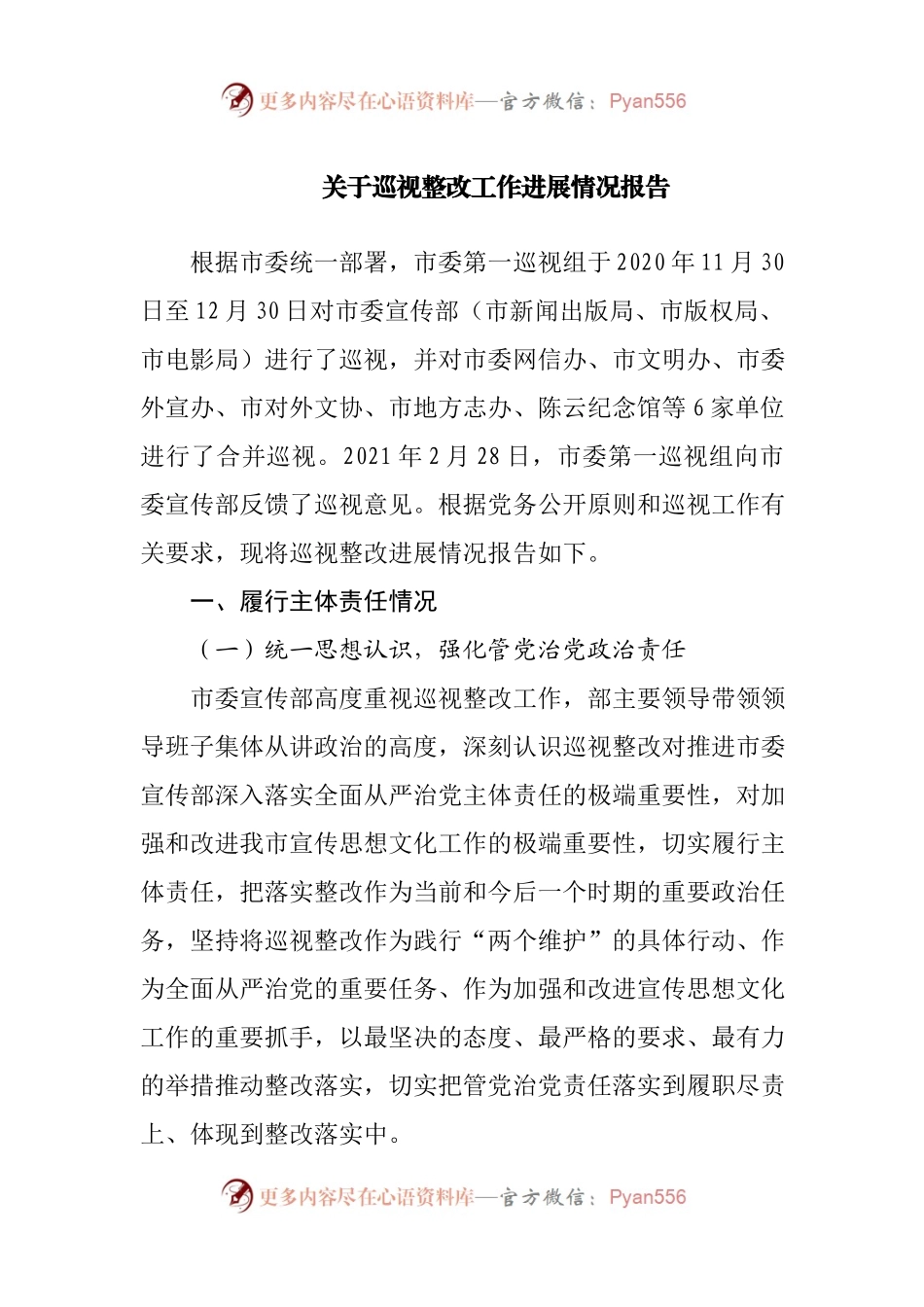 关于巡视整改工作进展情况报告(002).docx_第1页
