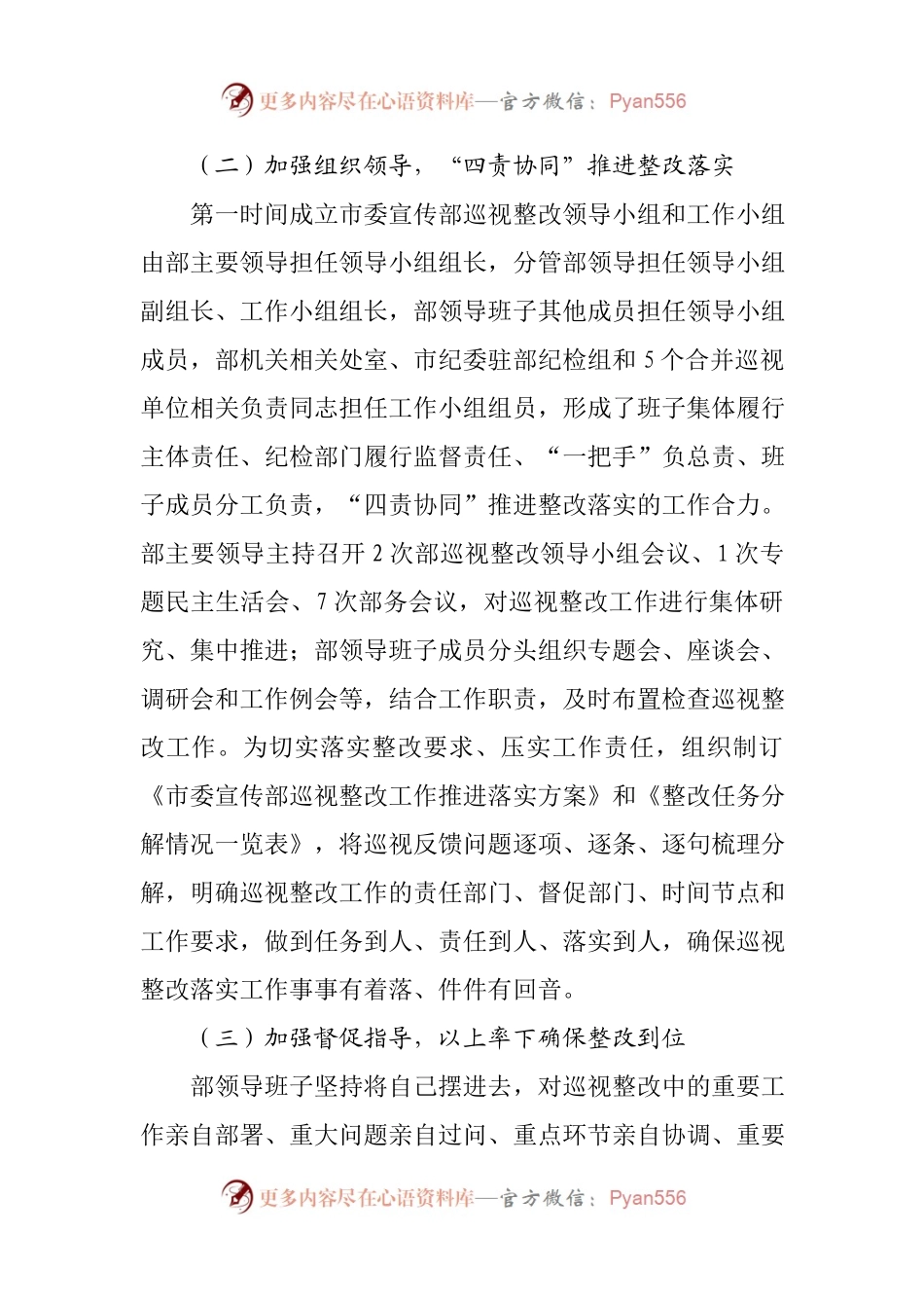 关于巡视整改工作进展情况报告(002).docx_第2页