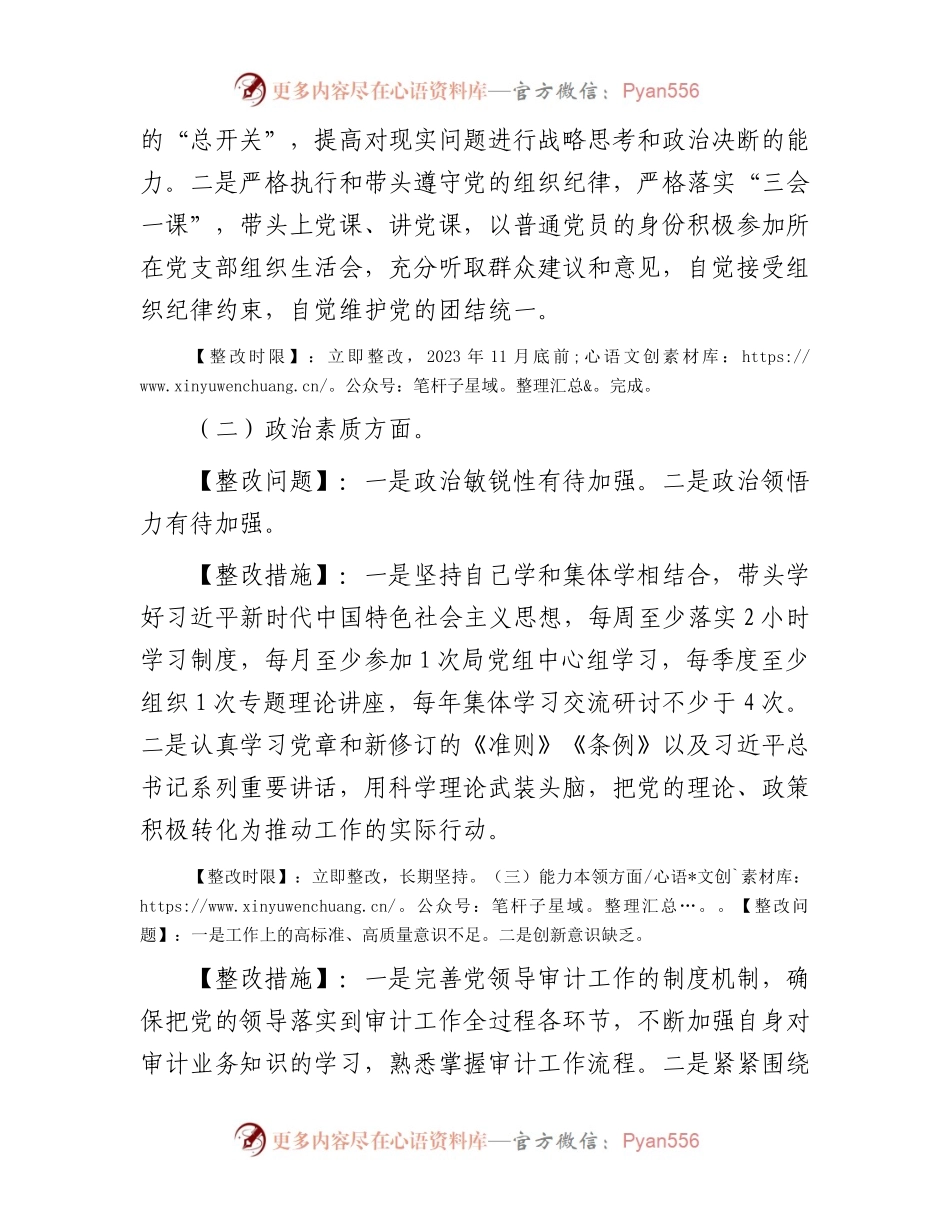 区县审计局党组书记主题教育民主生活会整改方案(1).docx_第2页