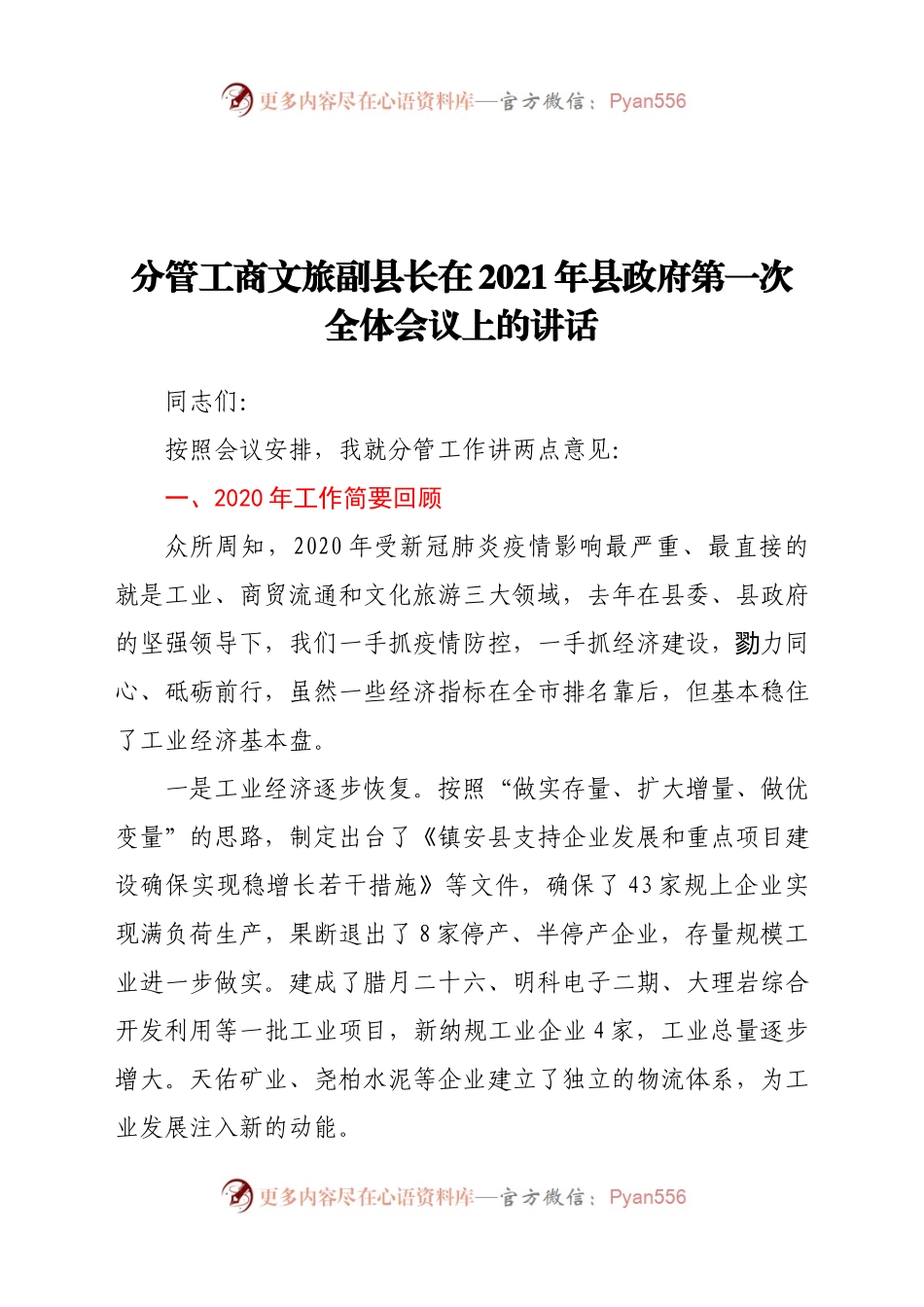 分管工商文旅副县长在2021年县政府第一次全体会议上的讲话.docx_第1页