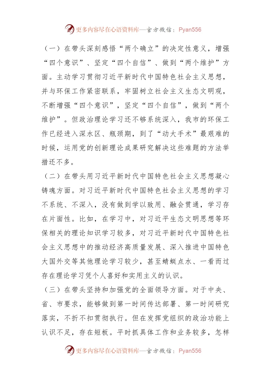 关于生态环境局党组书记、局长在年度专题民主生活会“六个带头”对照检查发言材料.docx_第2页