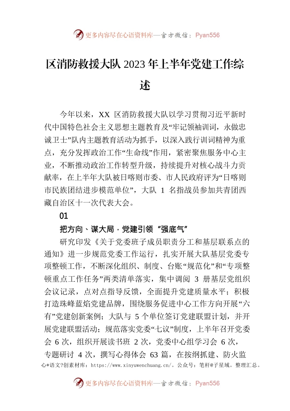 区消防救援大队2023年上半年党建工作综述(20230702).docx_第1页