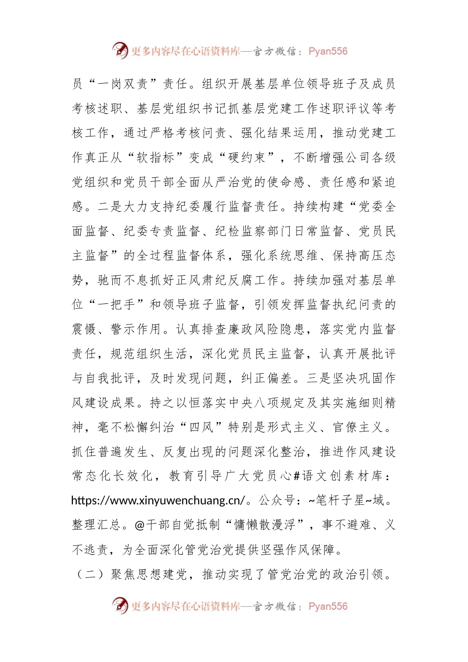 关于某国企党委书记履行管党治党责任报告.docx_第2页