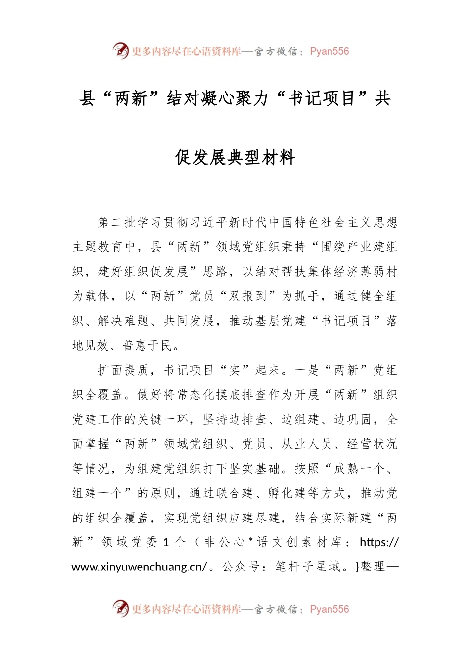 县“两新”结对凝心聚力“书记项目”共促发展典型材料.docx_第1页