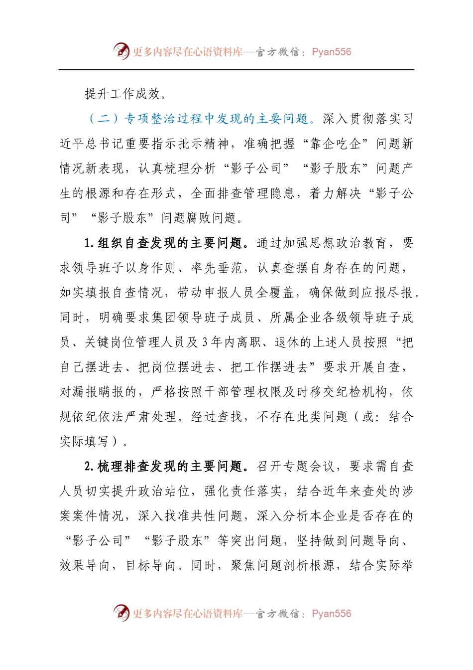 关于“影子公司”“影子股东”问题和持续深化化公为私问题专项整治工作情况的总结报告.docx_第1页