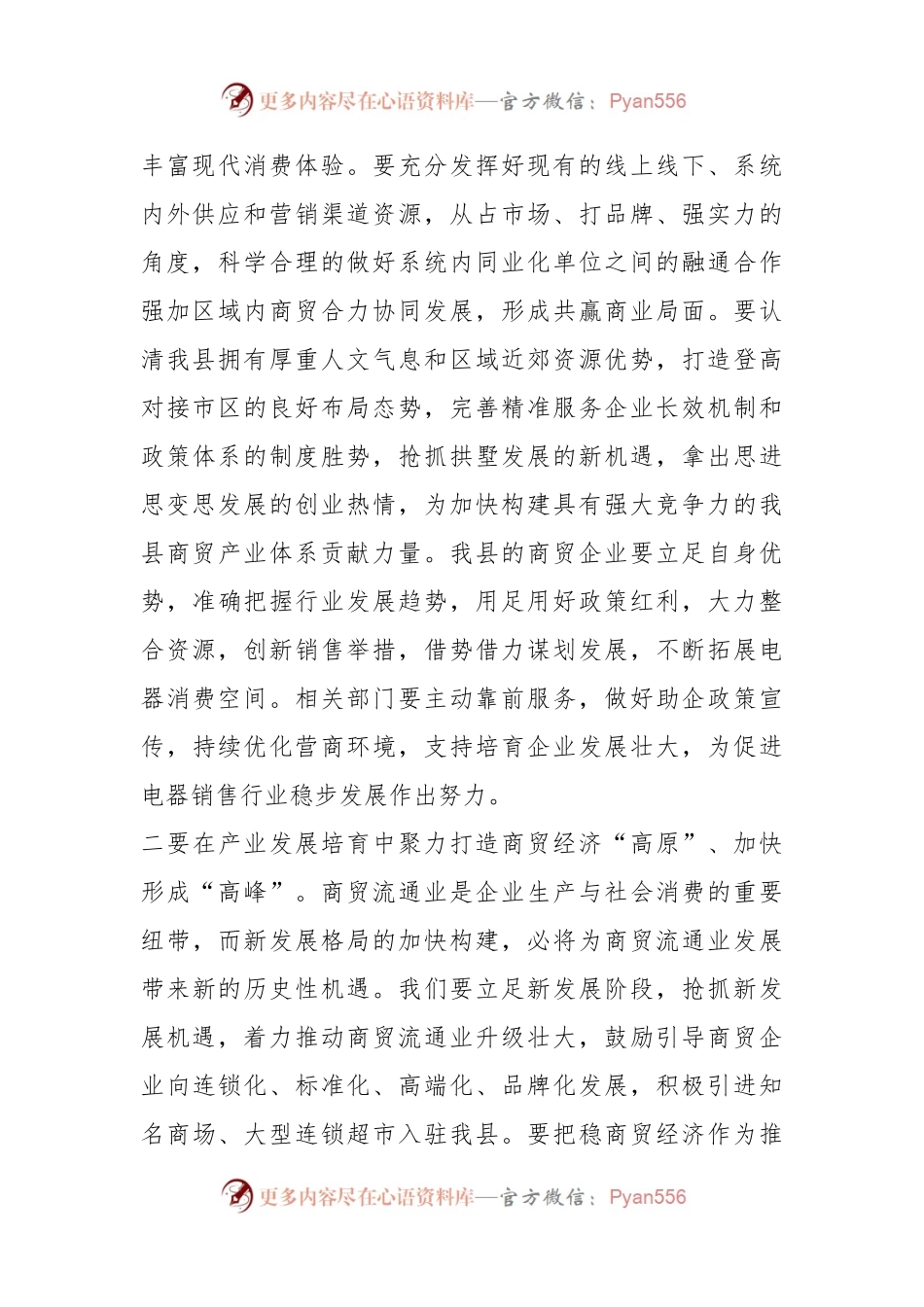 副县长在全县商贸经济发展促进会上的讲话.docx_第2页