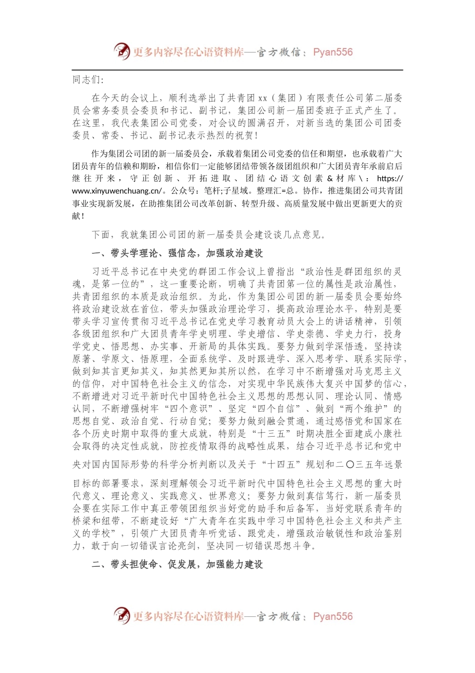 副总经理在共青团xx（集团）有限责任公司委员会全体会议上的讲话.docx_第1页