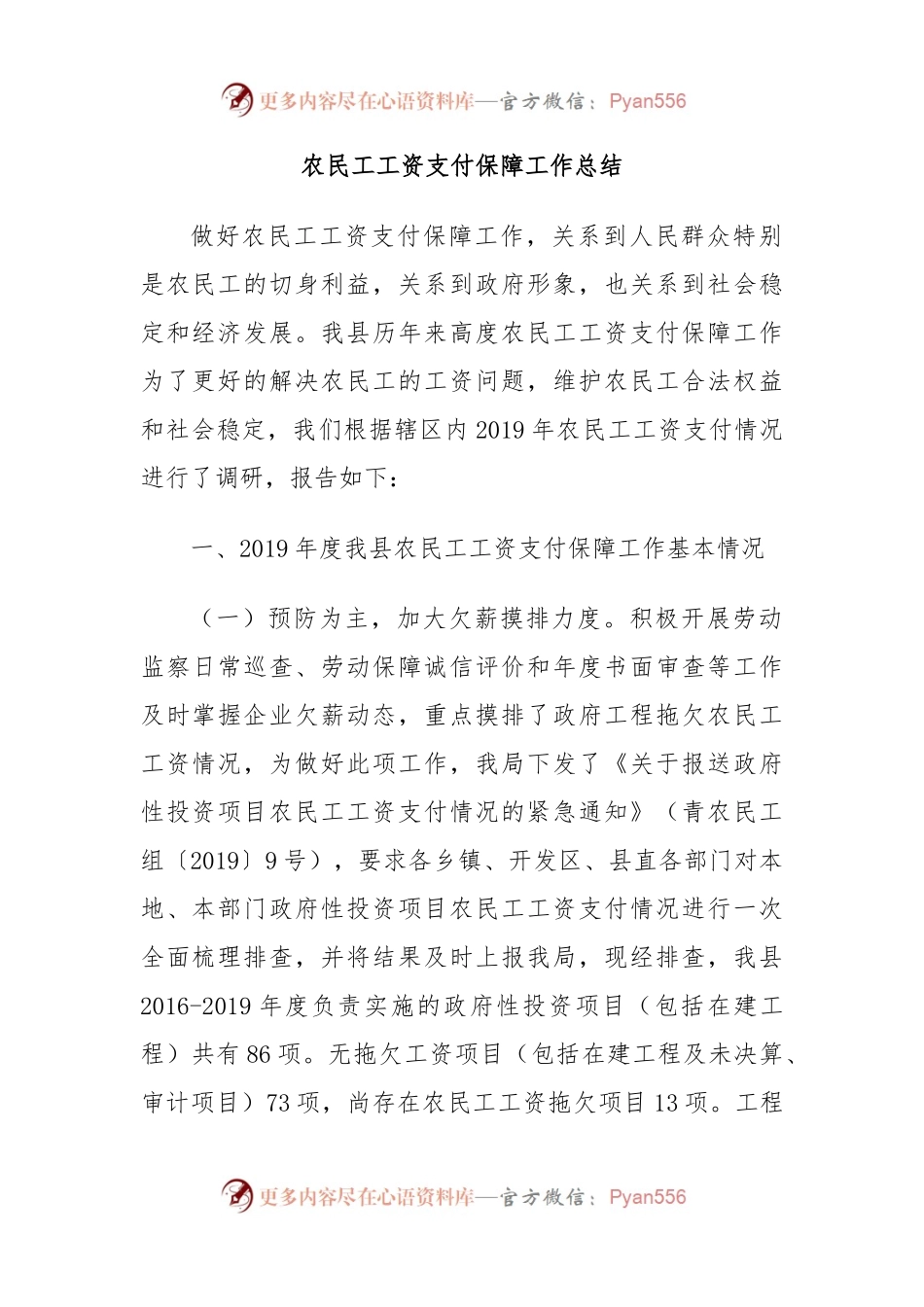 农民工工资支付保障工作总结.docx_第1页