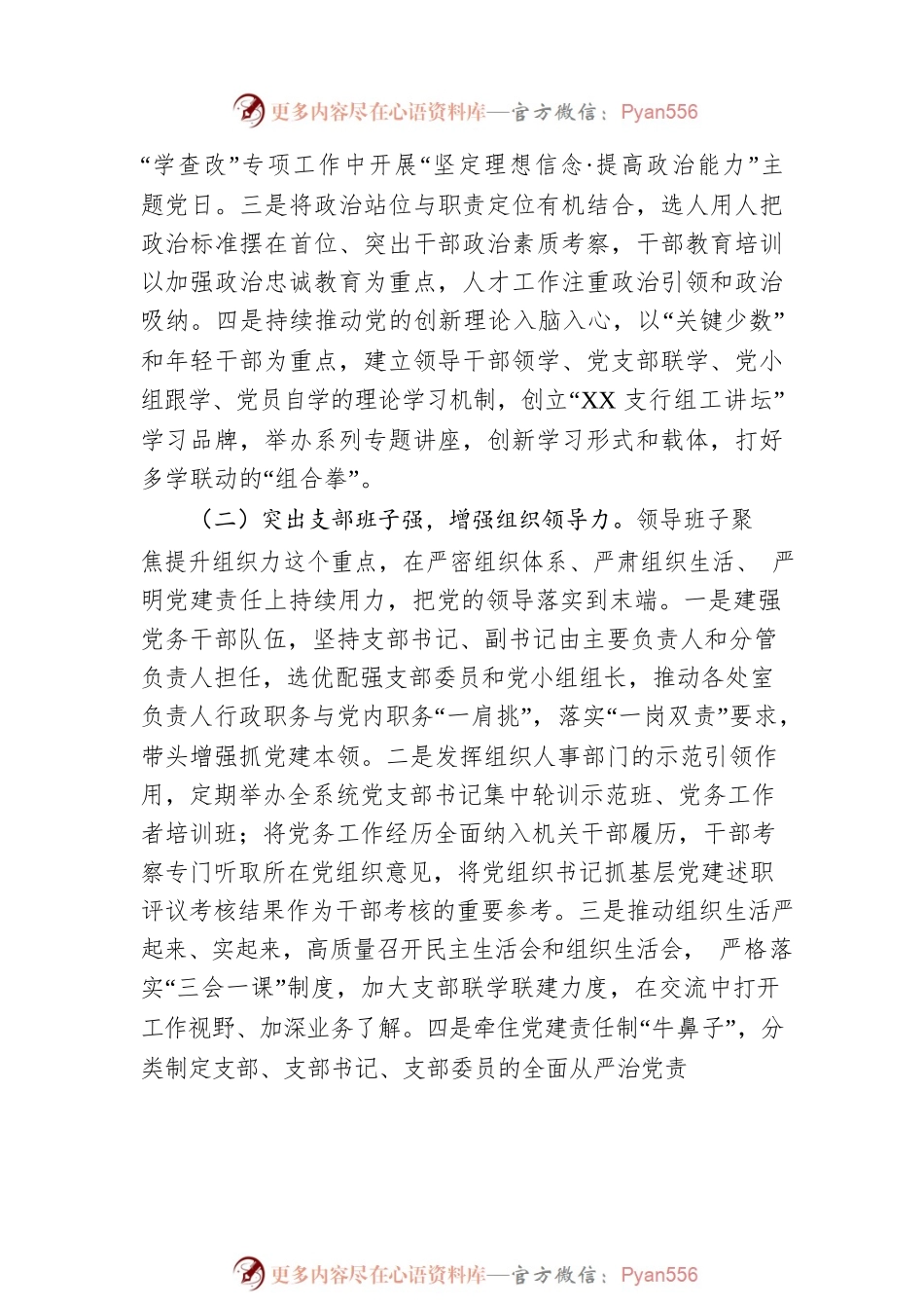 关于基层党组织品牌建设案例的情况总结.docx_第2页