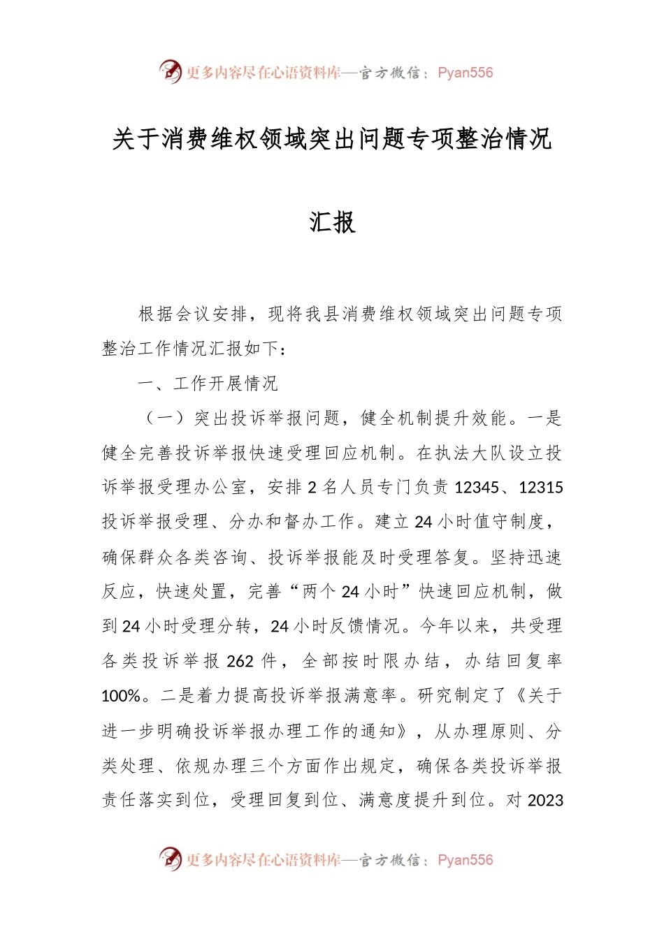 关于消费维权领域突出问题专项整治情况汇报.docx_第1页