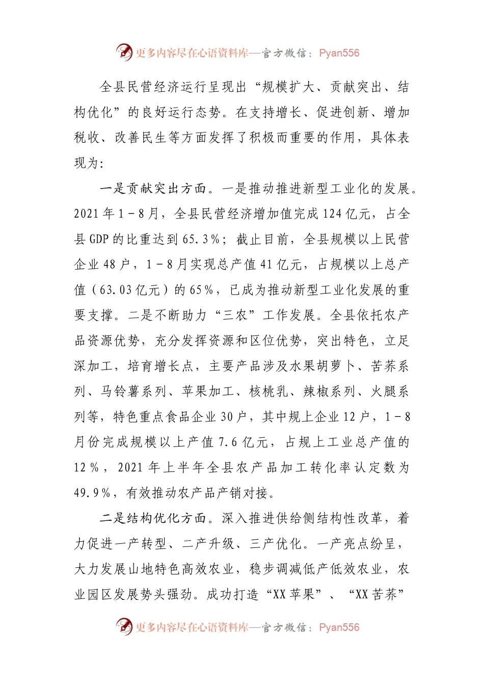 县2021年民营经济发展情况报告(001).docx_第2页