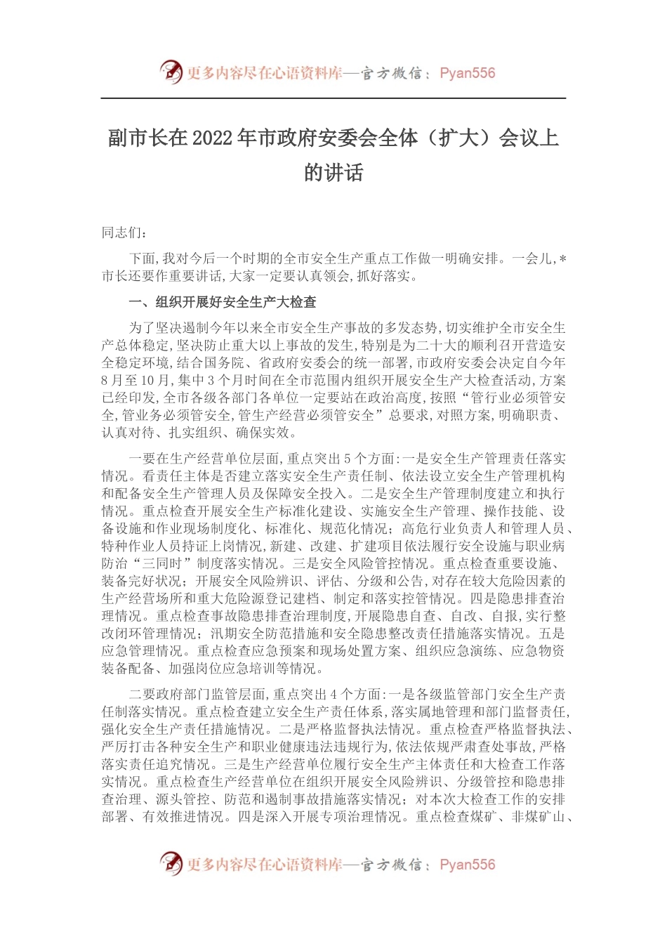 副市长在2022年市政府安委会全体（扩大）会议上的讲话.docx_第1页