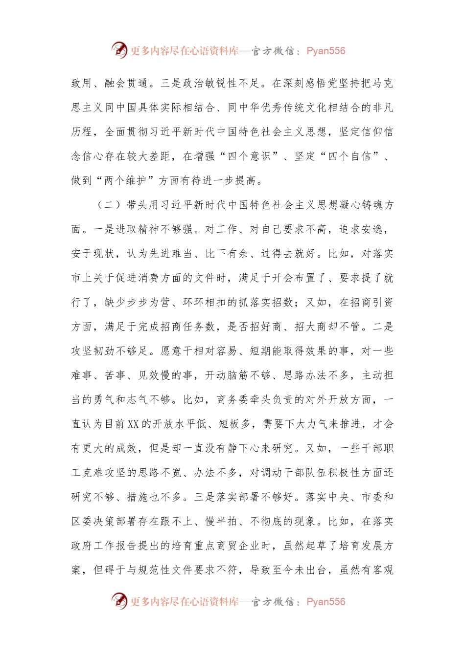 区商务局主要领导2022年民主生活会个人检查对照材料.docx_第2页